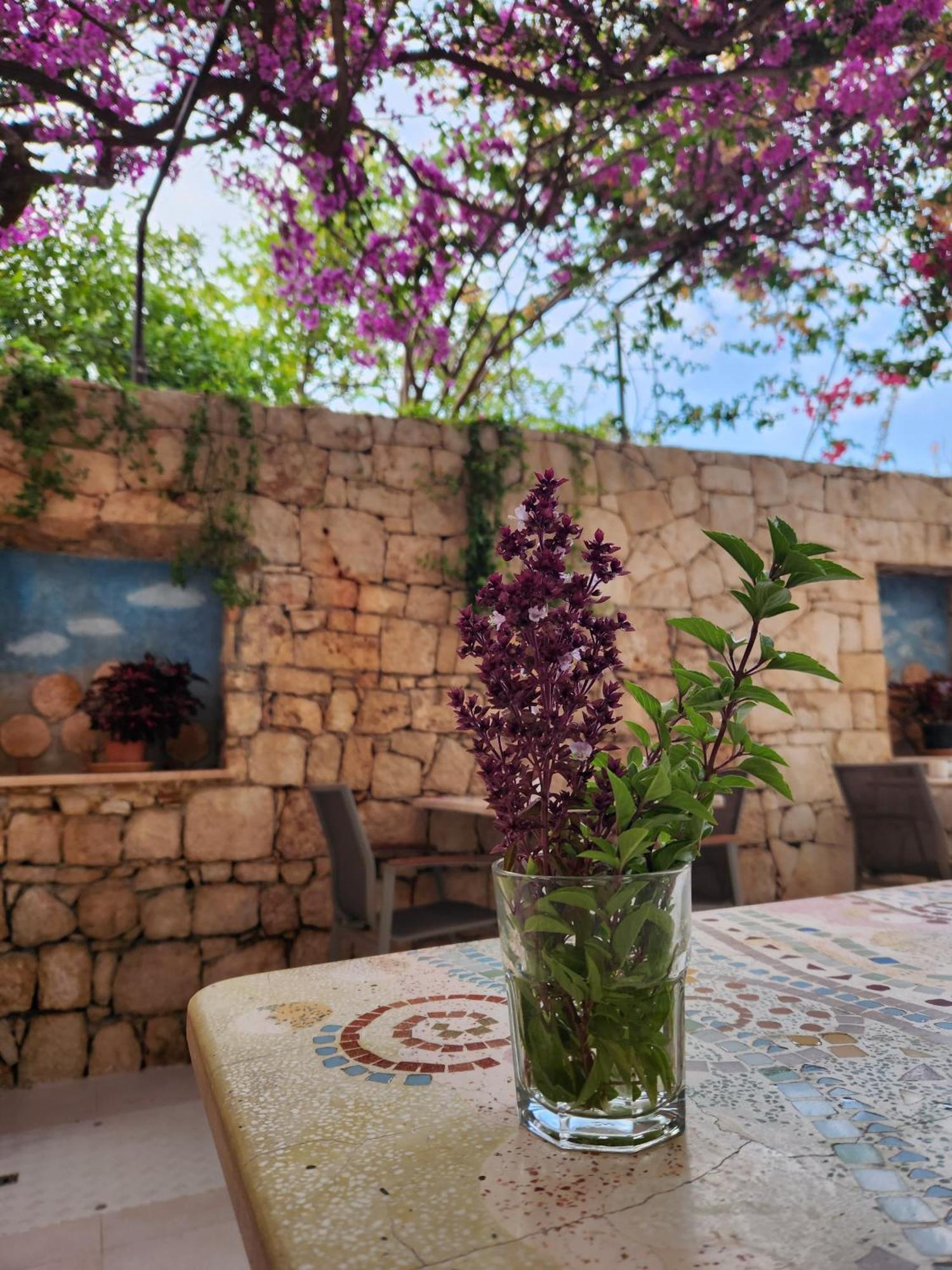 קס Hotel Begonvil מראה חיצוני תמונה